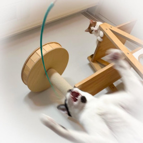 產品小圖