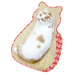 產品小圖