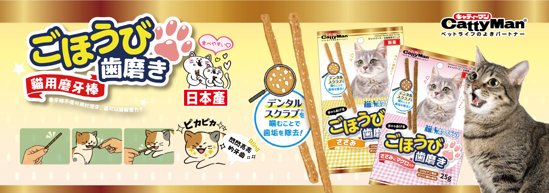 貓咪零食